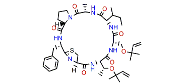 Trunkamide A